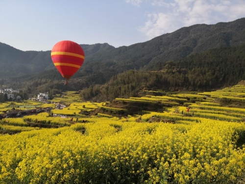 【黨群園地】立足本職提升素質(zhì)關愛健康擁抱自然 ——集團工會組織全體女職工開展旅游活動